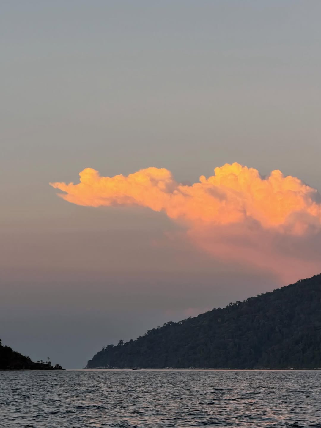 โบว์ - เบญจวรรณ อาร์ตเนอร์