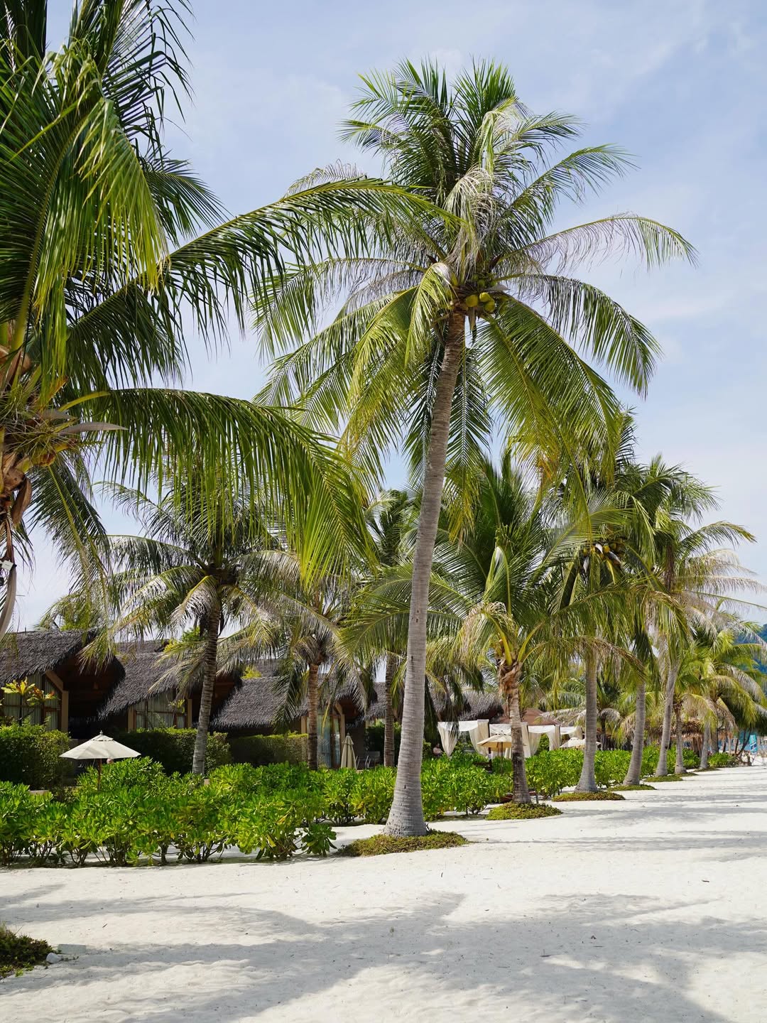 โบว์ - เบญจวรรณ อาร์ตเนอร์