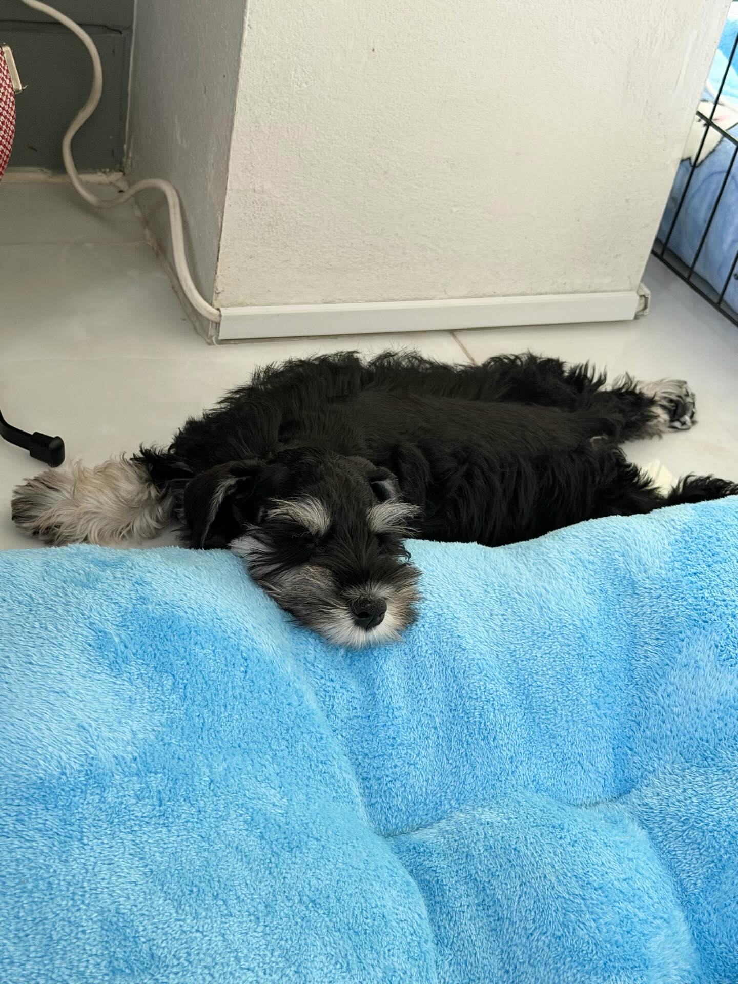 โบว์ - เบญจวรรณ อาร์ตเนอร์