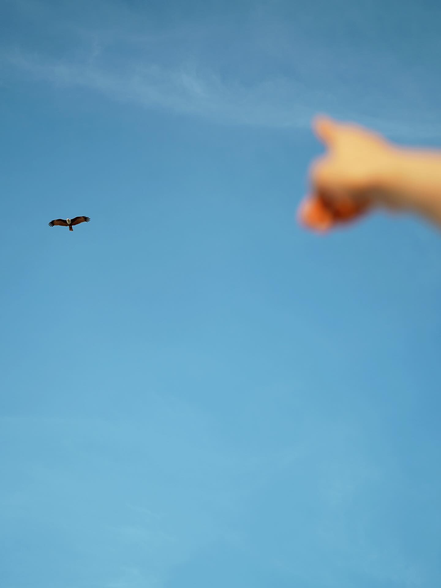 โบว์ - เบญจวรรณ อาร์ตเนอร์