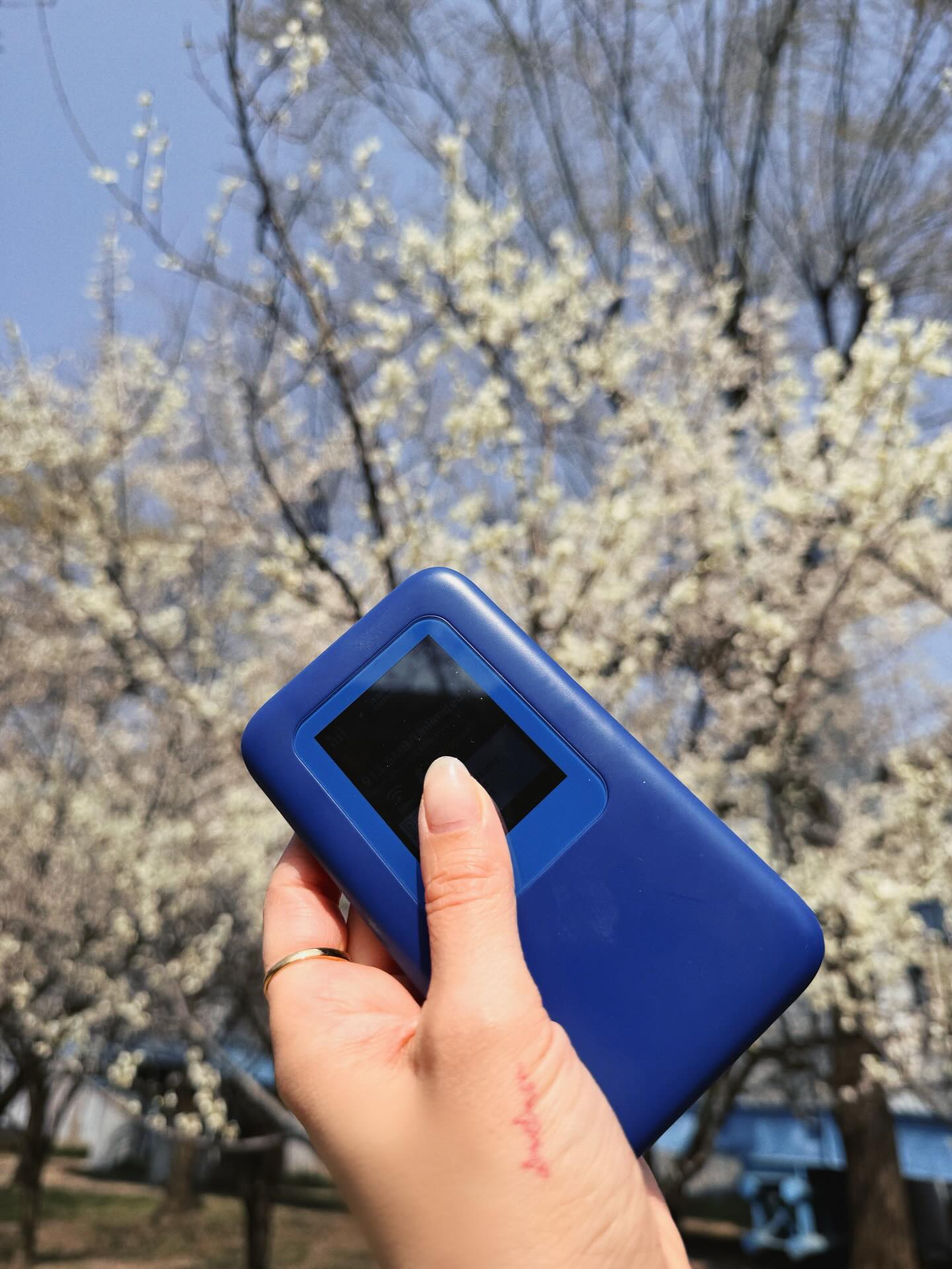 โบว์ - เบญจวรรณ อาร์ตเนอร์