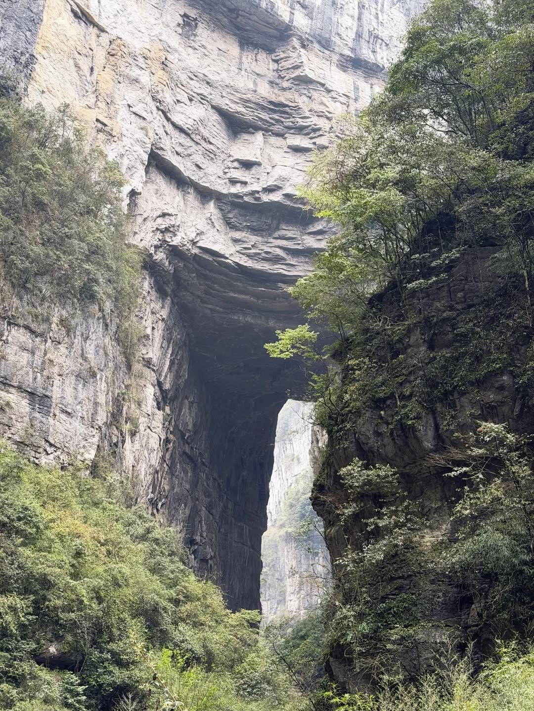 โบว์ - เบญจวรรณ อาร์ตเนอร์