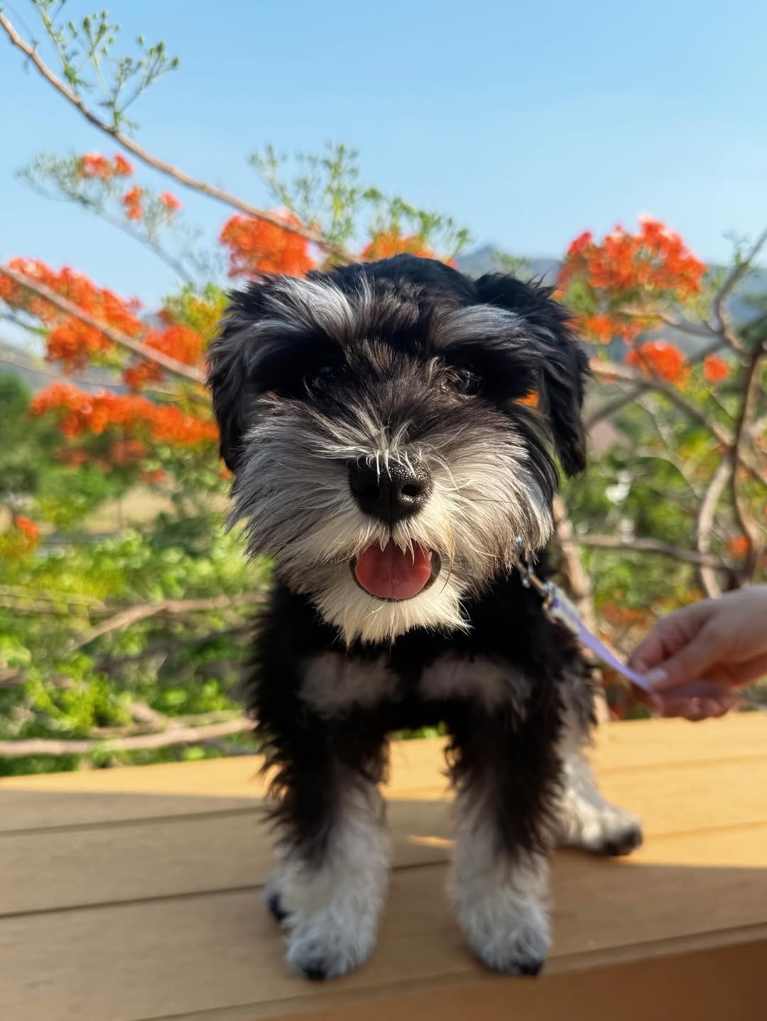 โบว์ - เบญจวรรณ อาร์ตเนอร์