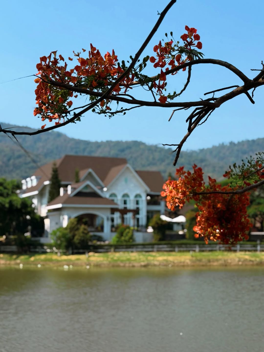 โบว์ - เบญจวรรณ อาร์ตเนอร์