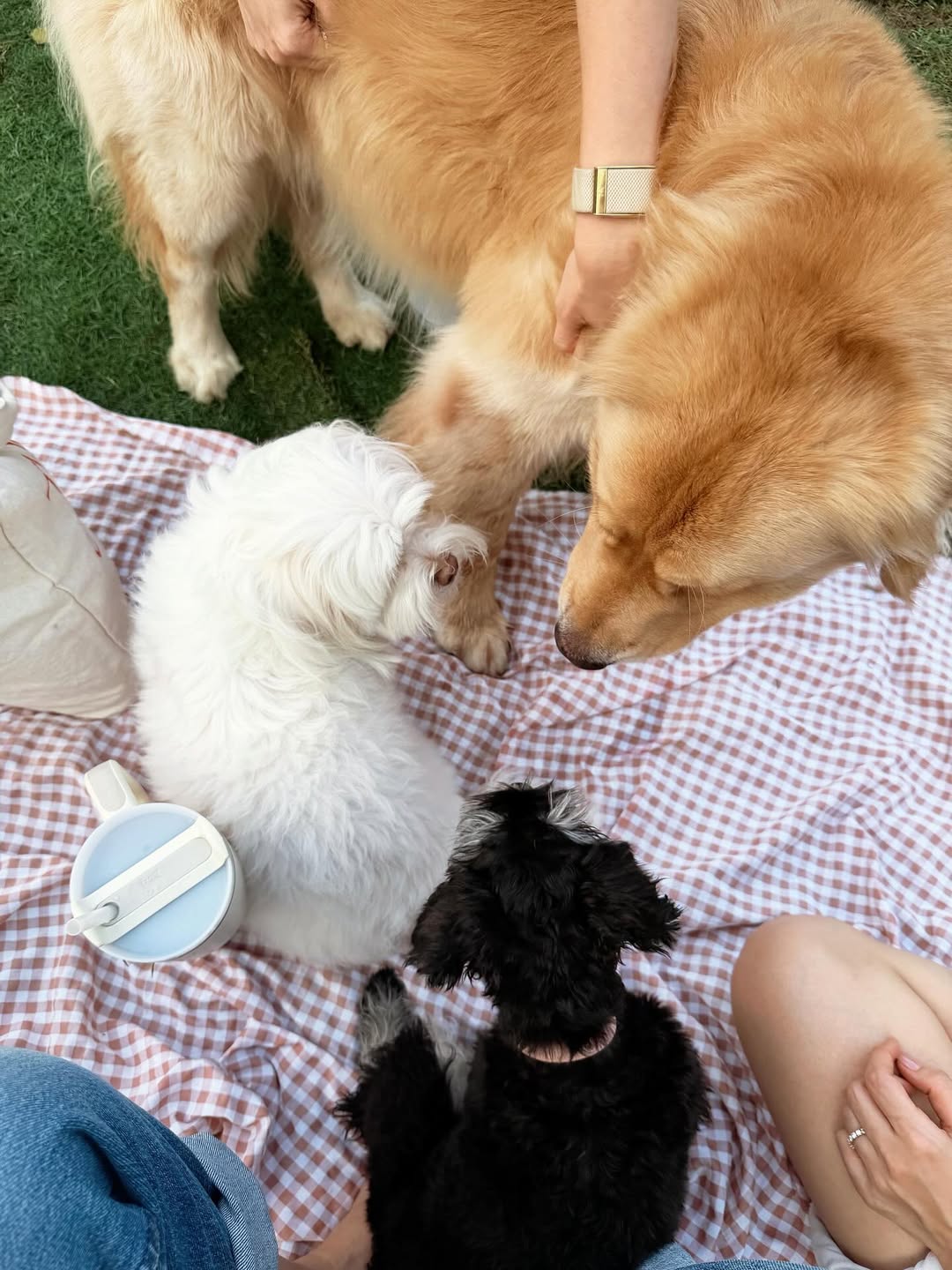 โบว์ - เบญจวรรณ อาร์ตเนอร์