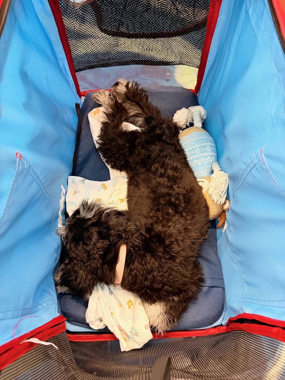 โบว์ - เบญจวรรณ อาร์ตเนอร์