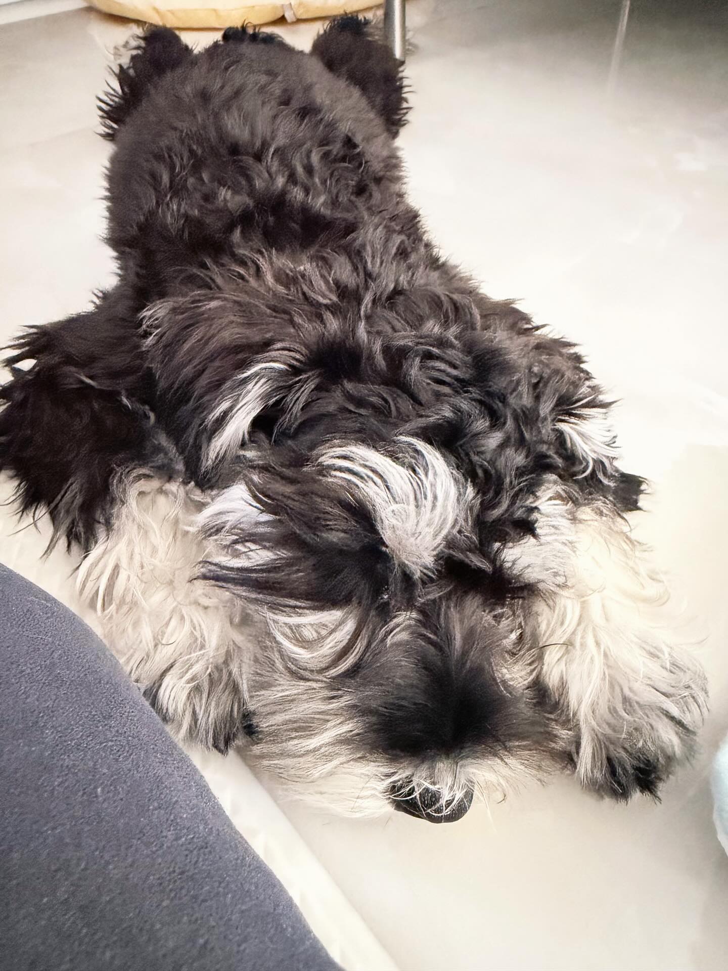 โบว์ - เบญจวรรณ อาร์ตเนอร์