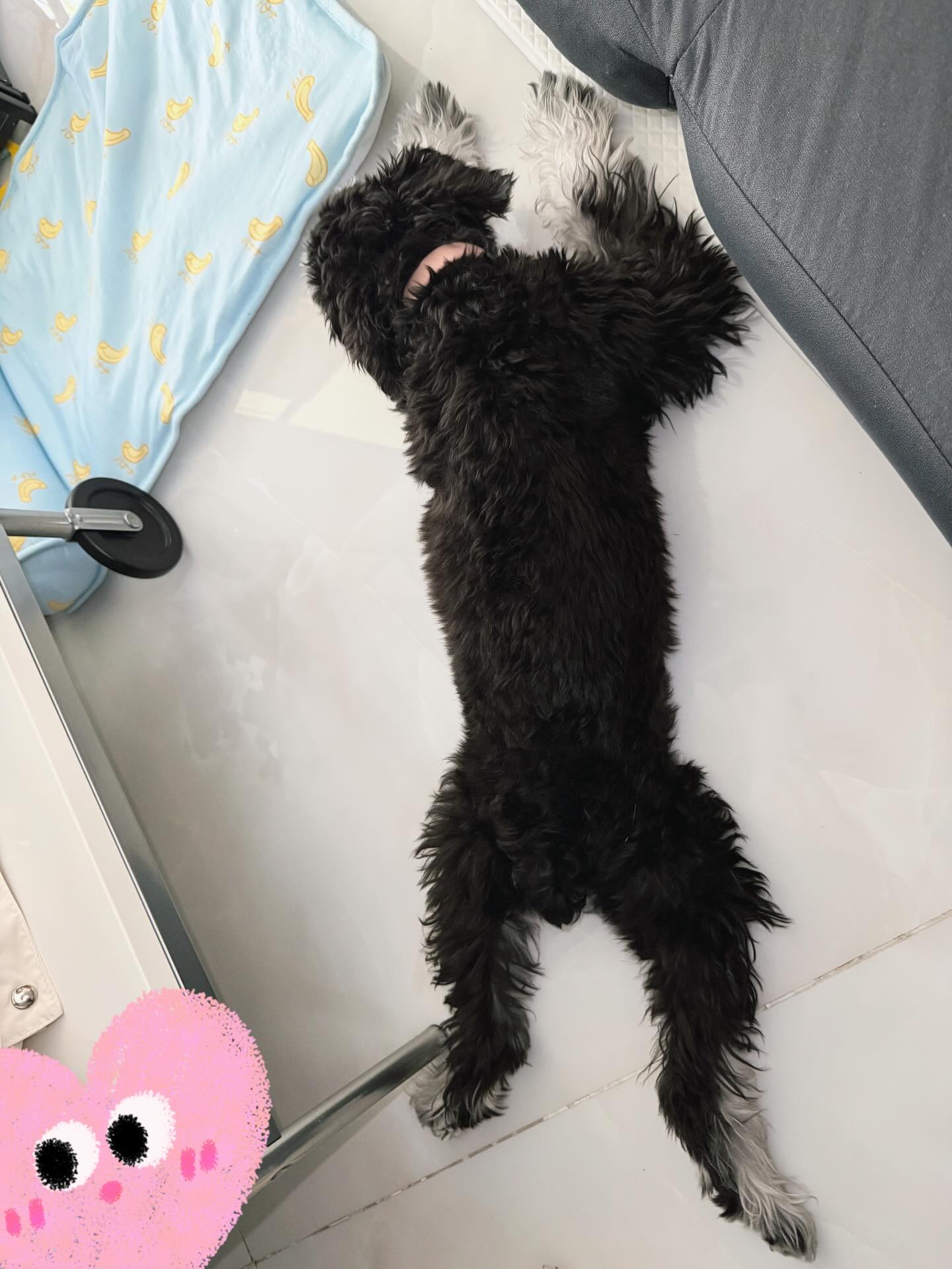 โบว์ - เบญจวรรณ อาร์ตเนอร์