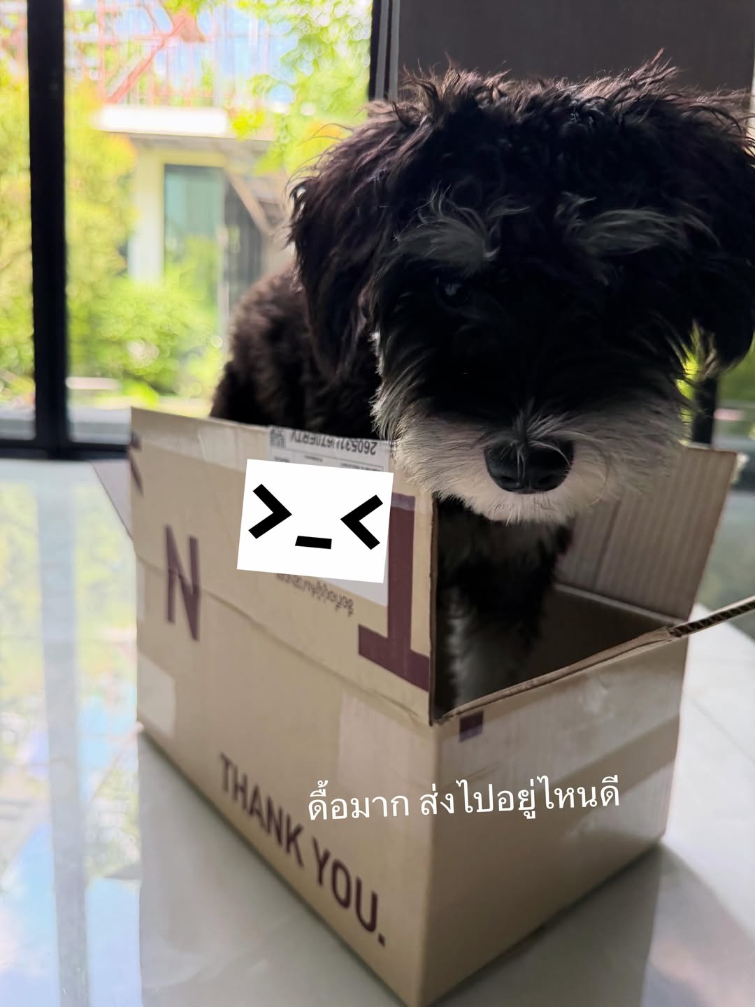 โบว์ - เบญจวรรณ อาร์ตเนอร์