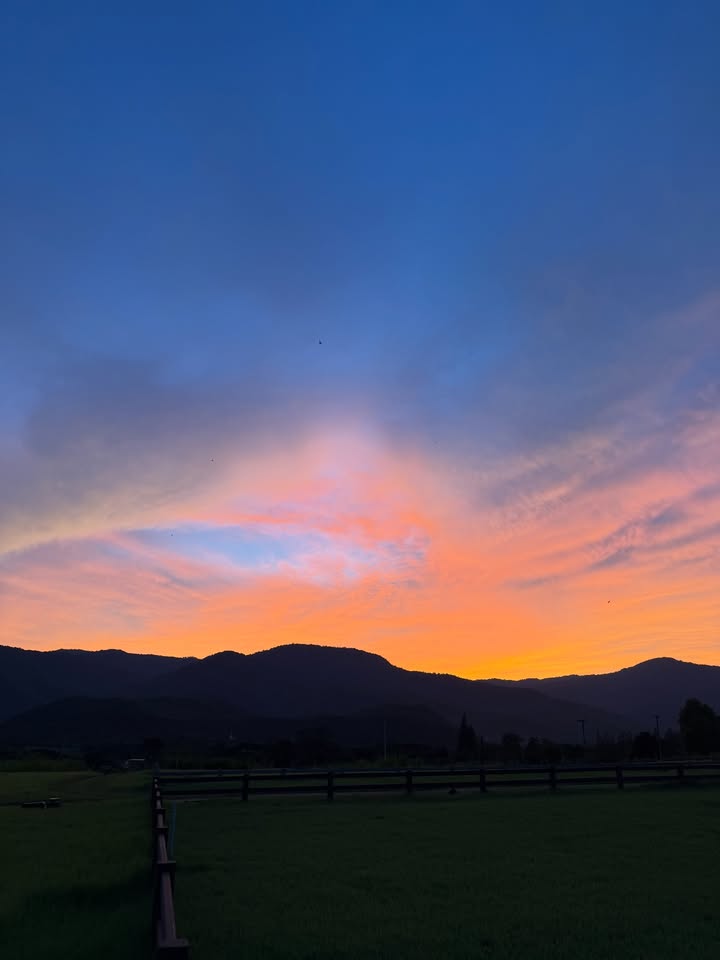 หมิว - ณัชชา เตชะมงคลาภิวัฒน์