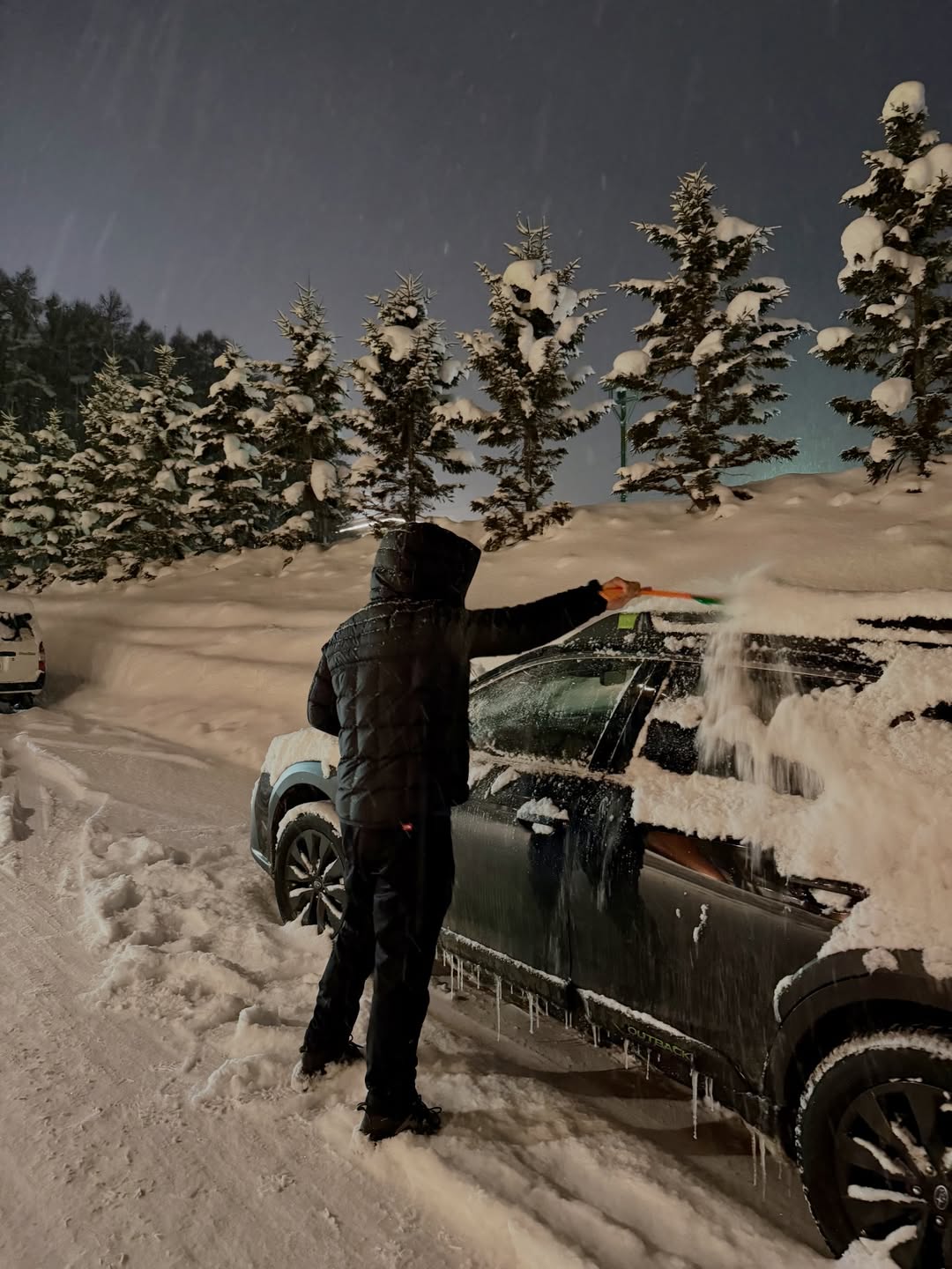 หมิว - ณัชชา เตชะมงคลาภิวัฒน์