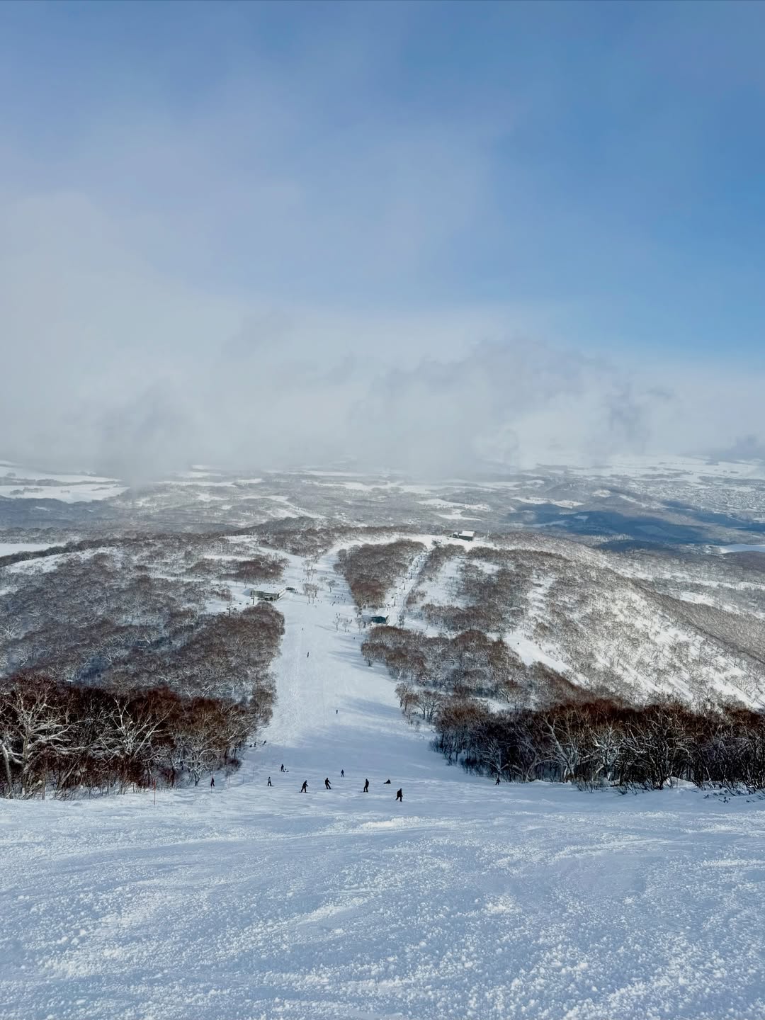 หมิว - ณัชชา เตชะมงคลาภิวัฒน์