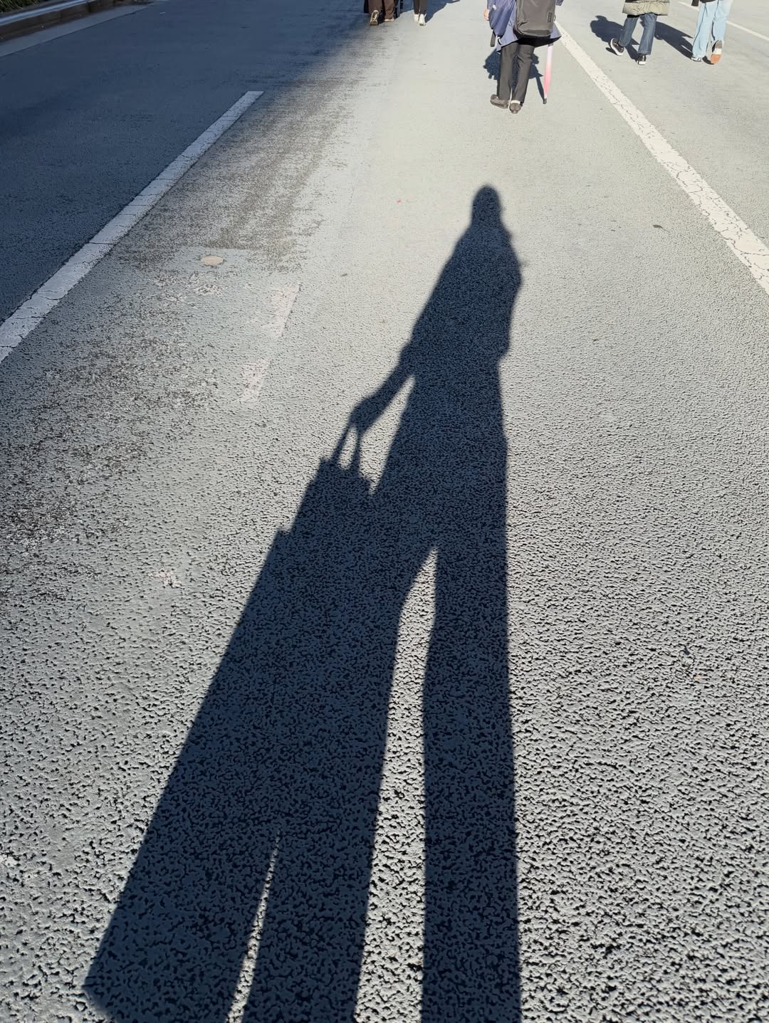 หมิว - ณัชชา เตชะมงคลาภิวัฒน์