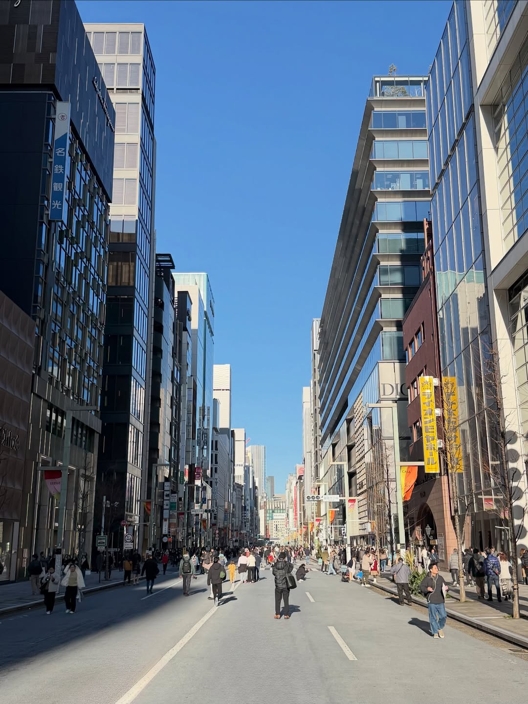 หมิว - ณัชชา เตชะมงคลาภิวัฒน์