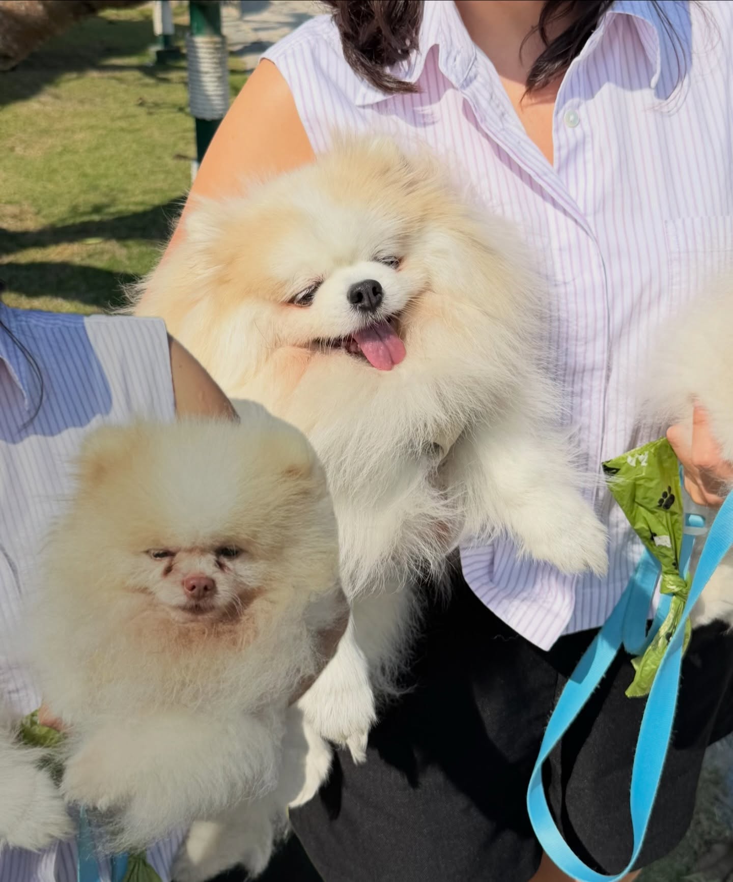 หมิว - ณัชชา เตชะมงคลาภิวัฒน์