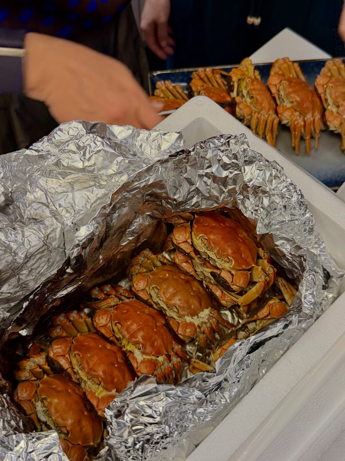 หมิว - ณัชชา เตชะมงคลาภิวัฒน์