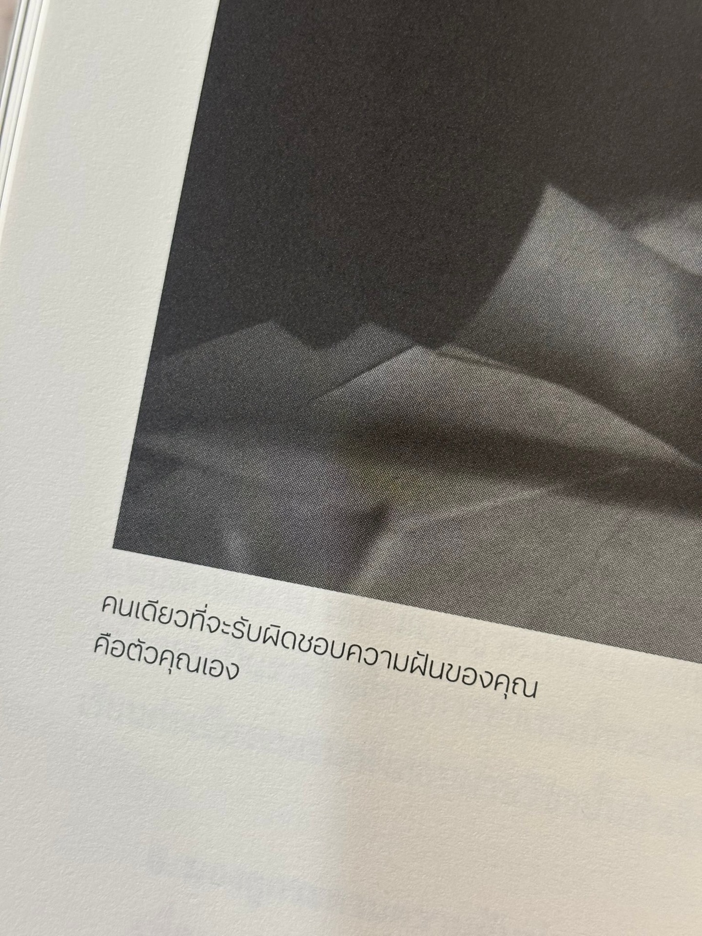 หมิว - ณัชชา เตชะมงคลาภิวัฒน์