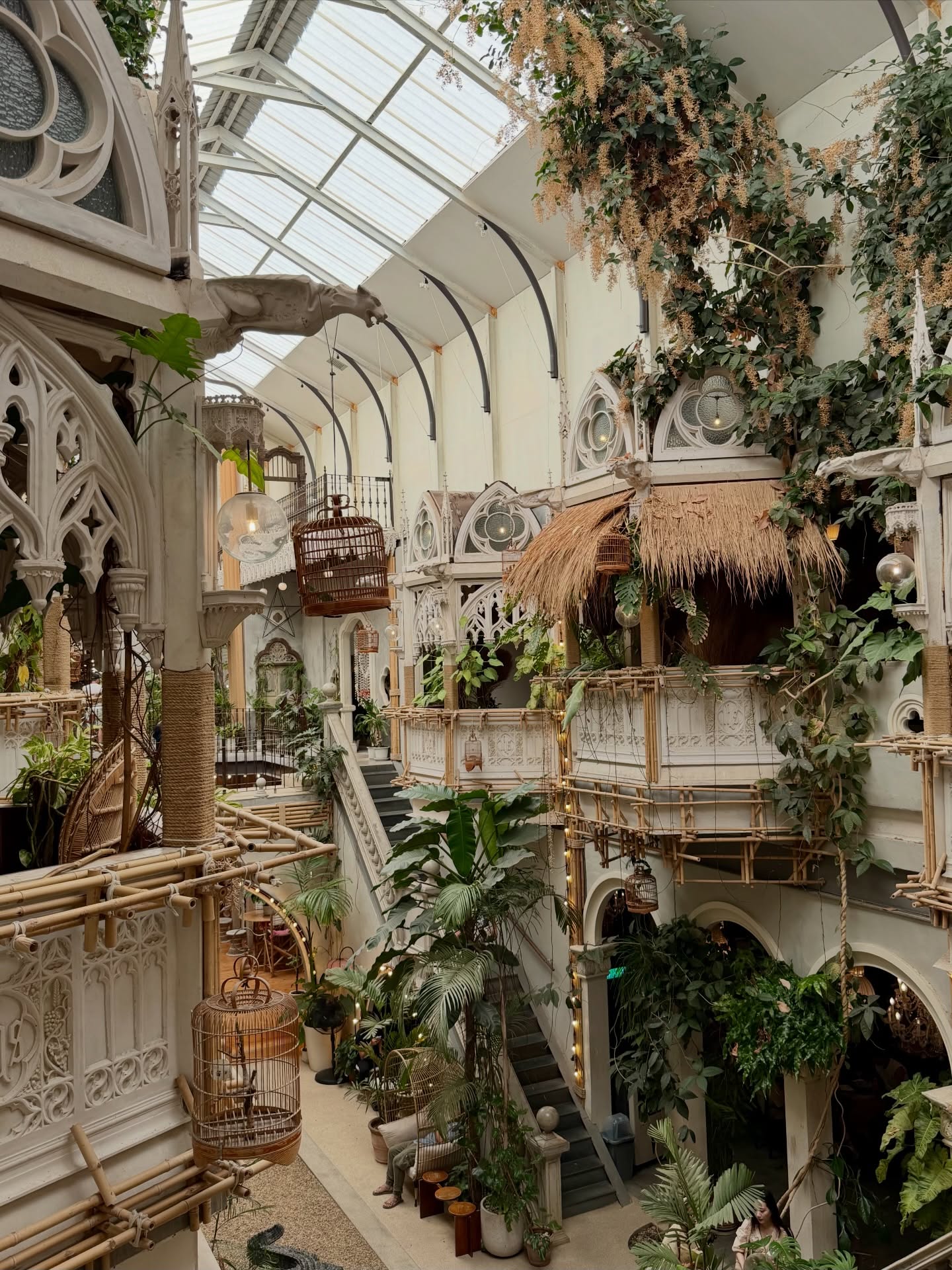 หมิว - ณัชชา เตชะมงคลาภิวัฒน์