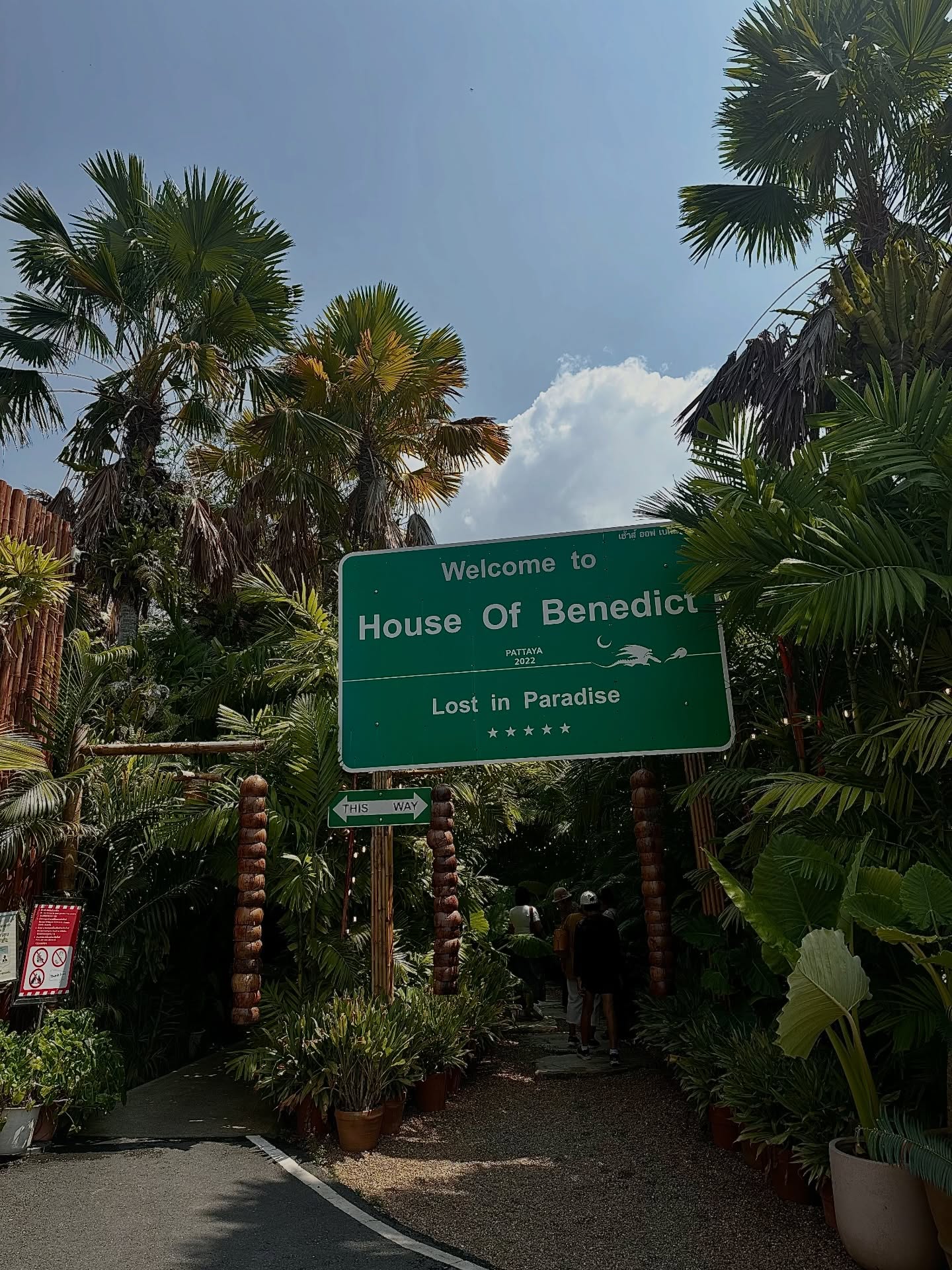 หมิว - ณัชชา เตชะมงคลาภิวัฒน์