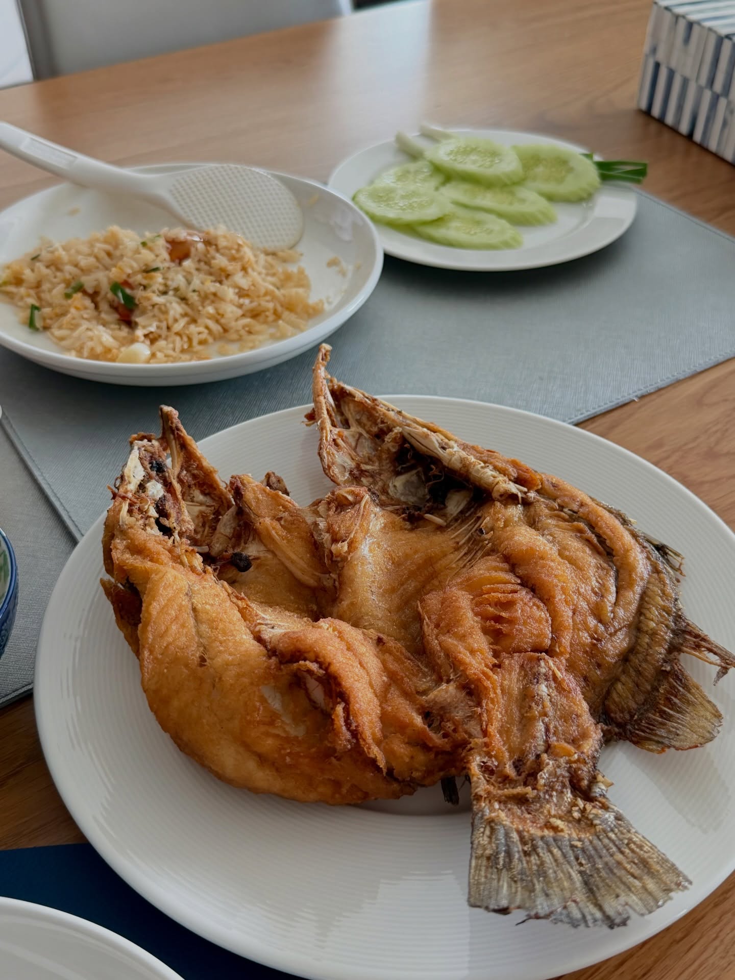 หมิว - ณัชชา เตชะมงคลาภิวัฒน์