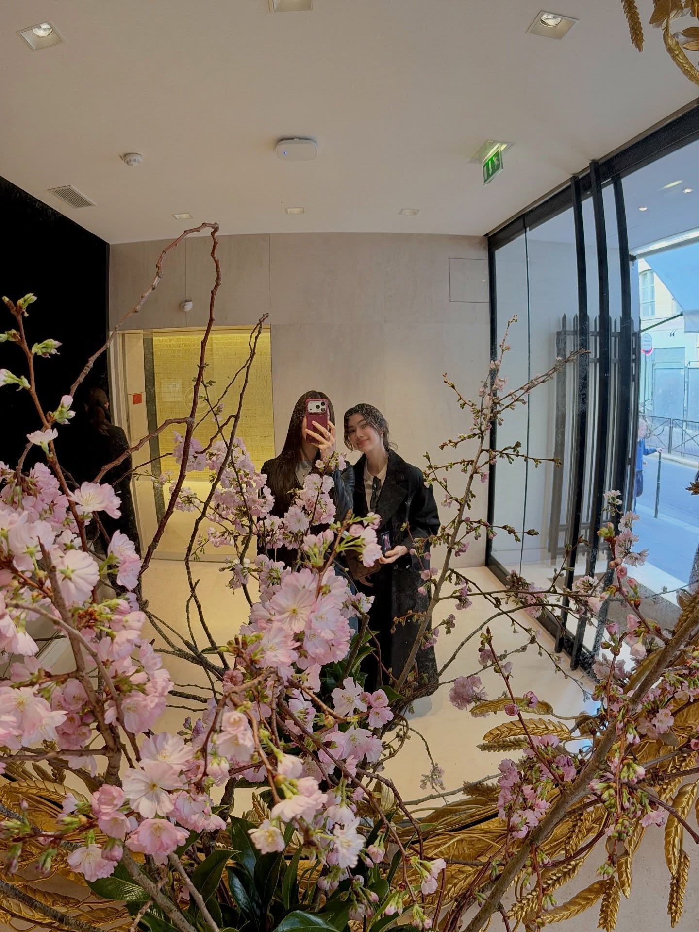 หมิว - ณัชชา เตชะมงคลาภิวัฒน์