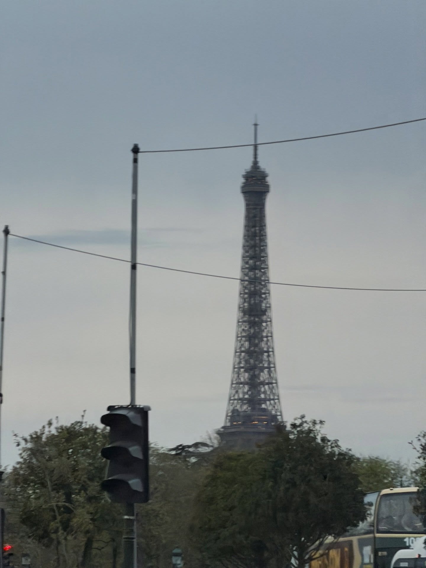 หมิว - ณัชชา เตชะมงคลาภิวัฒน์