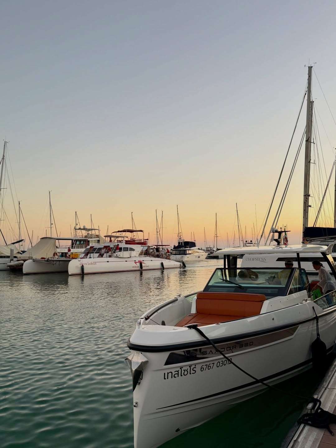 หมิว - ณัชชา เตชะมงคลาภิวัฒน์