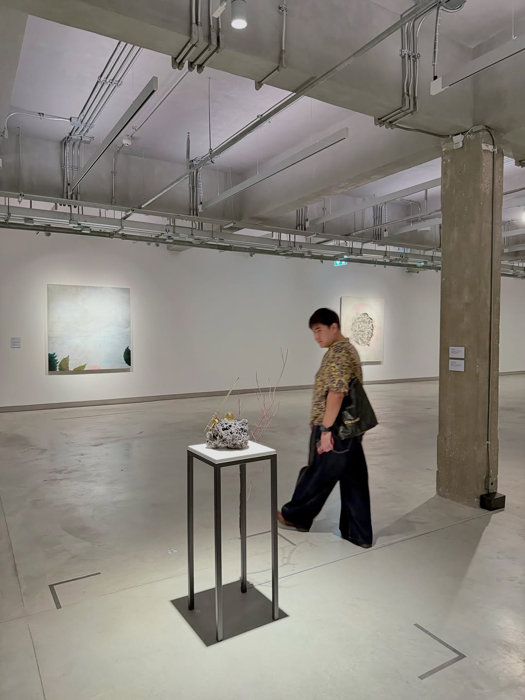 หมิว - ณัชชา เตชะมงคลาภิวัฒน์