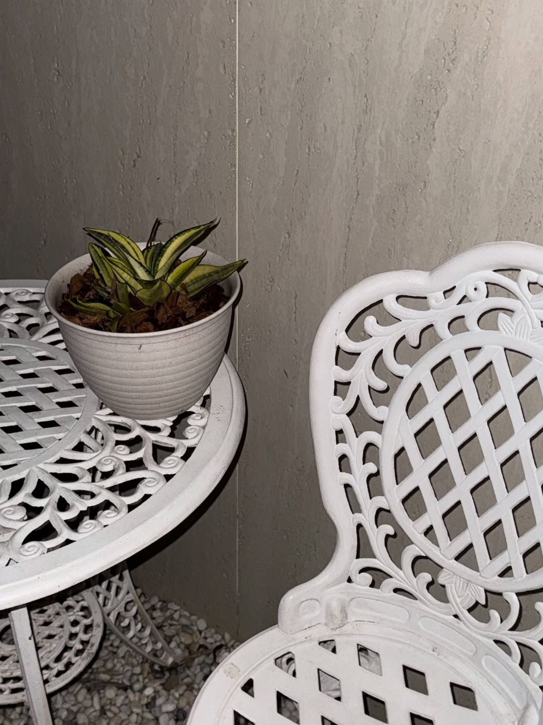 นุนิว - ชวรินทร์ เพริศพิริยะวงศ์