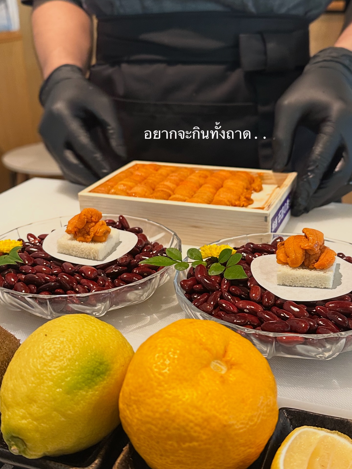 หยก - ธัญยกันต์ ธนกิตติ์ธนานนท์