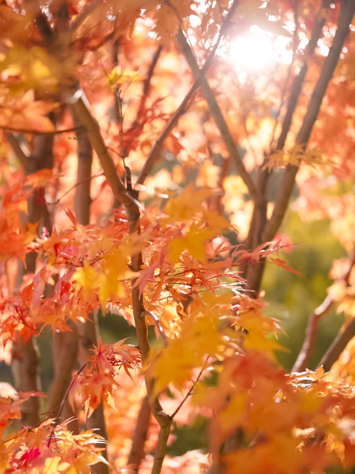 จอย - รินลณี ศรีเพ็ญ