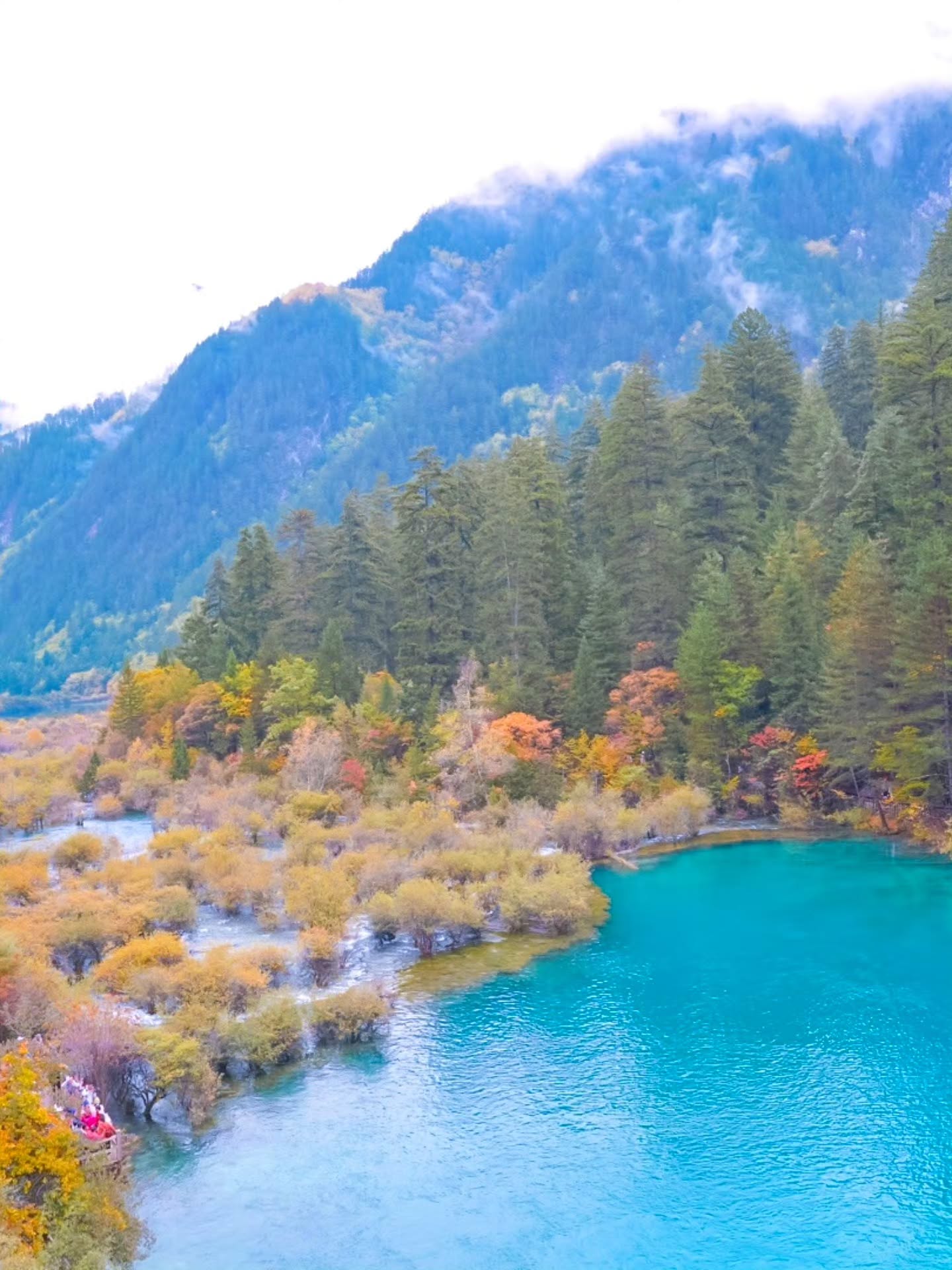 จอย - รินลณี ศรีเพ็ญ