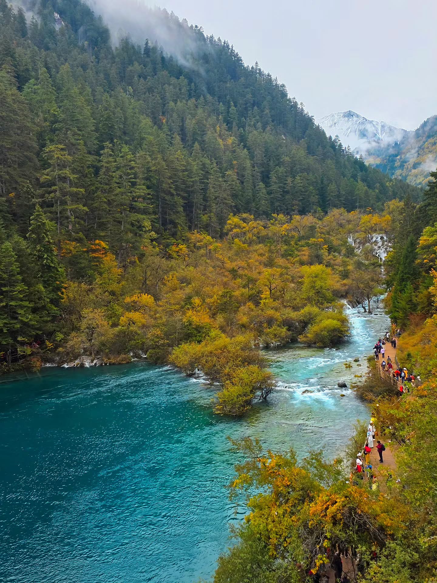 จอย - รินลณี ศรีเพ็ญ