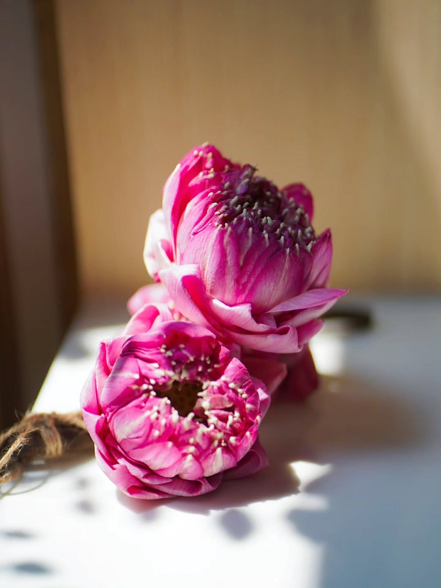 จอย - รินลณี ศรีเพ็ญ