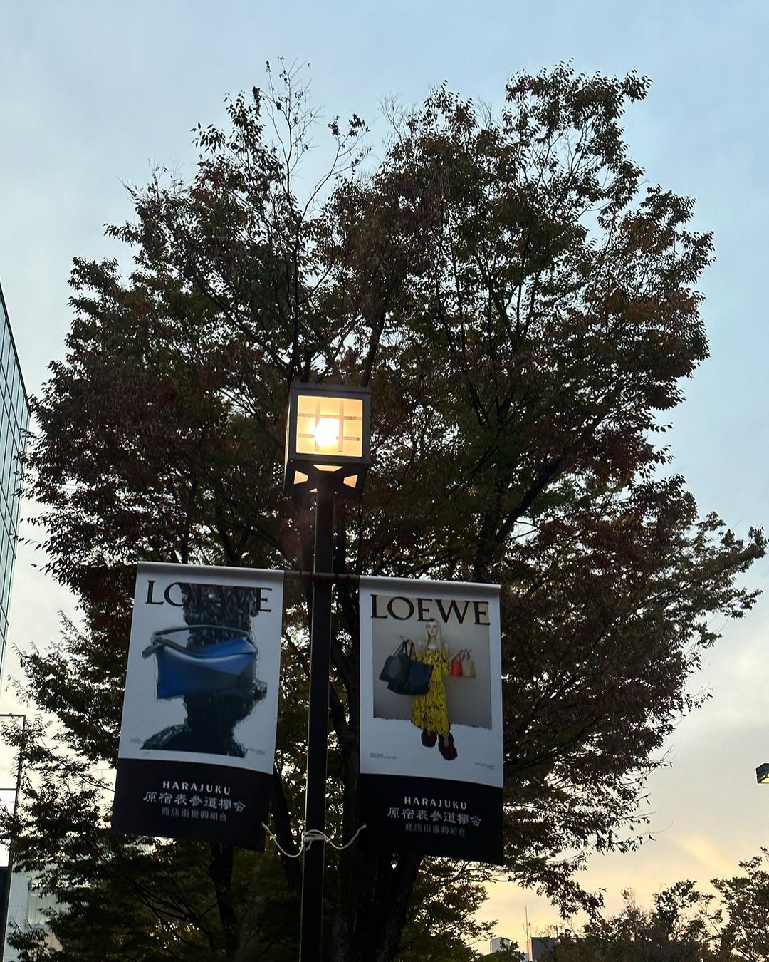 จุง - อาเชน ไอย์ดึน