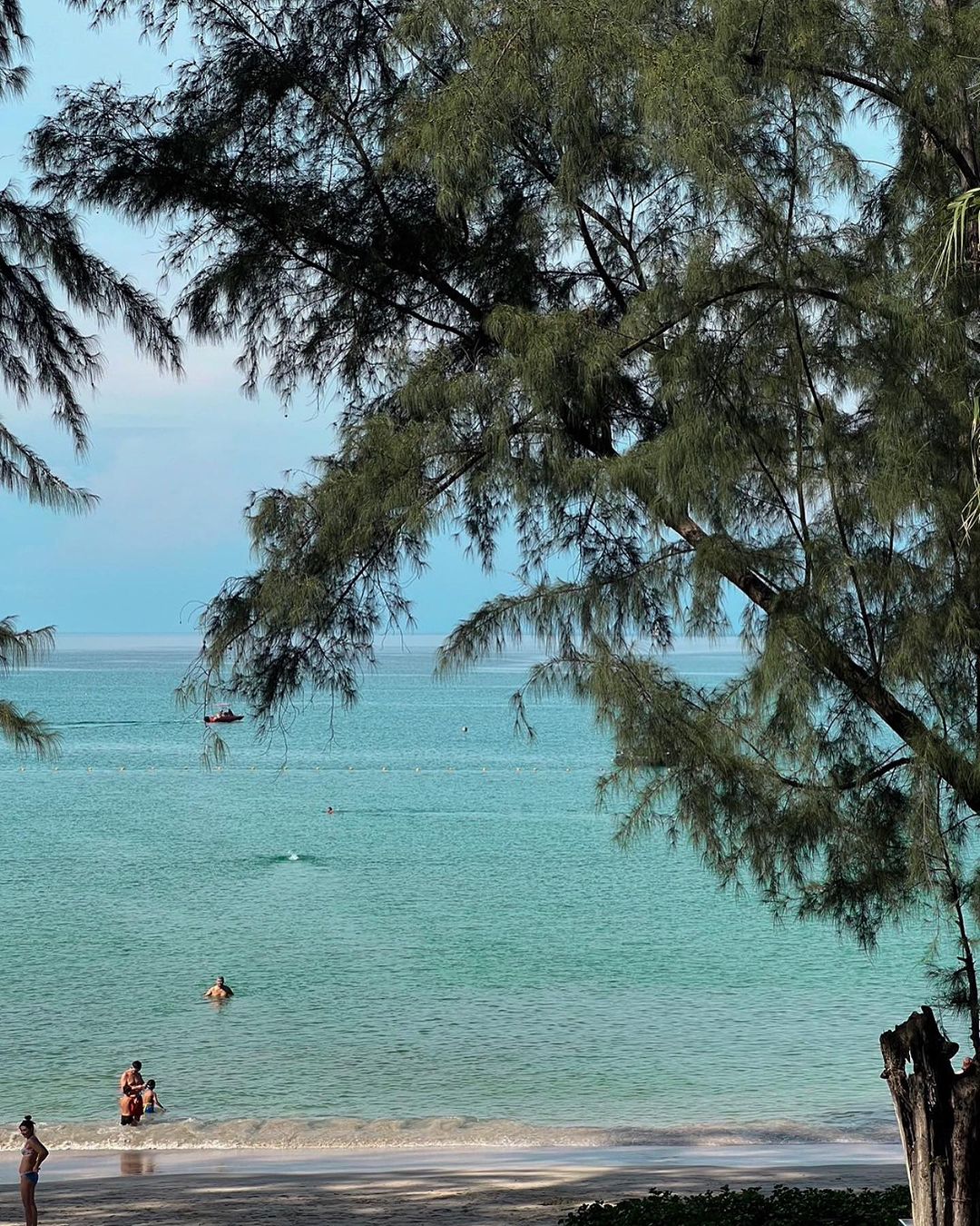 จุง - อาเชน ไอย์ดึน