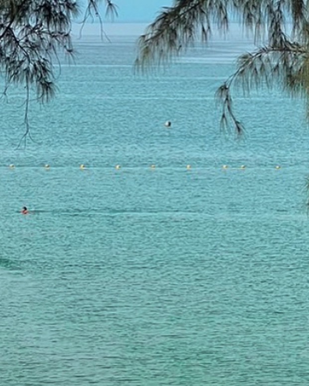 จุง - อาเชน ไอย์ดึน