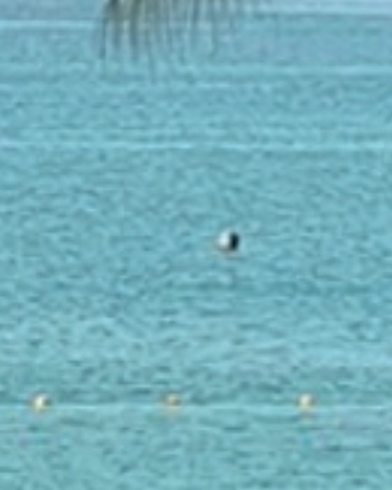 จุง - อาเชน ไอย์ดึน