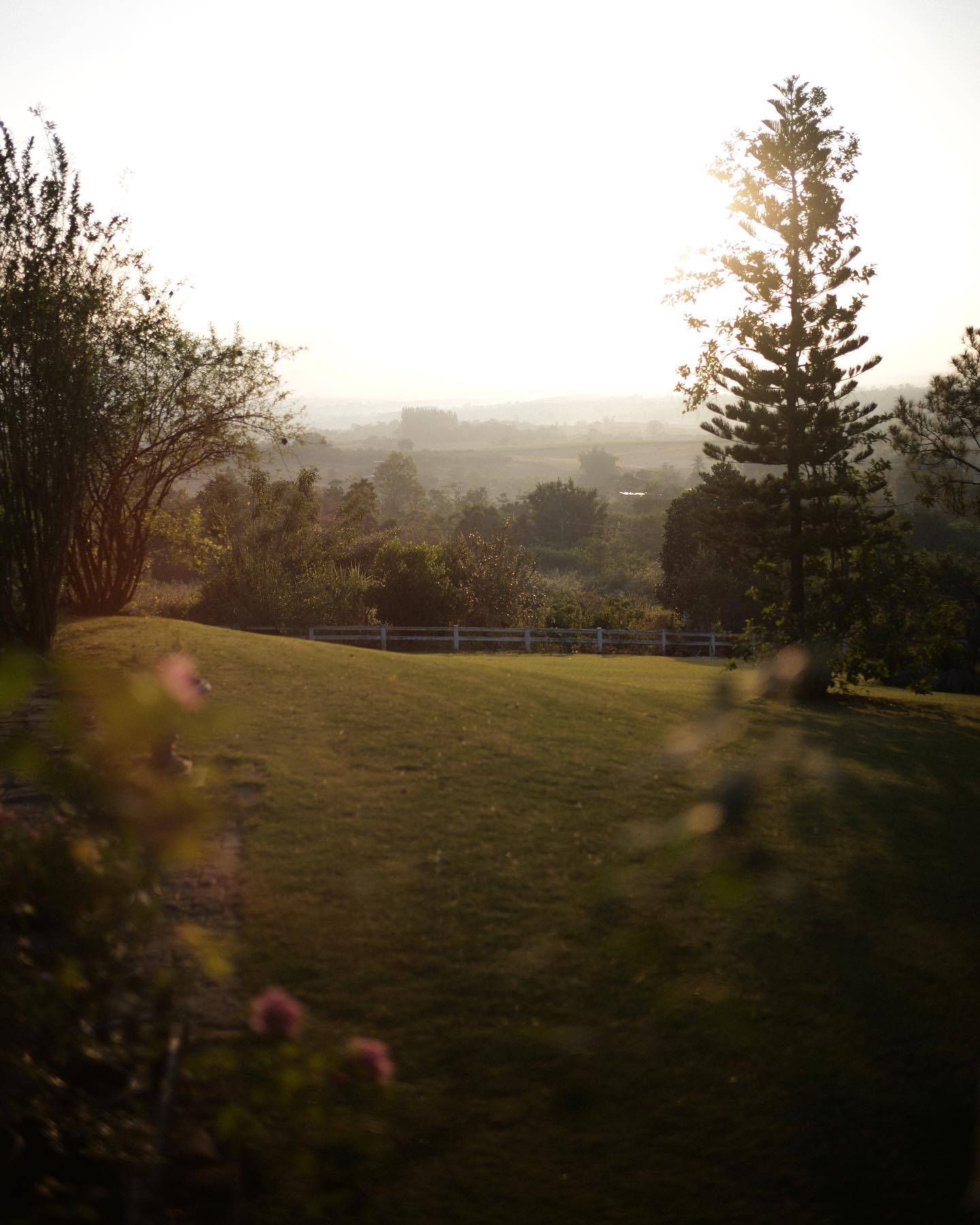 จุง - อาเชน ไอย์ดึน