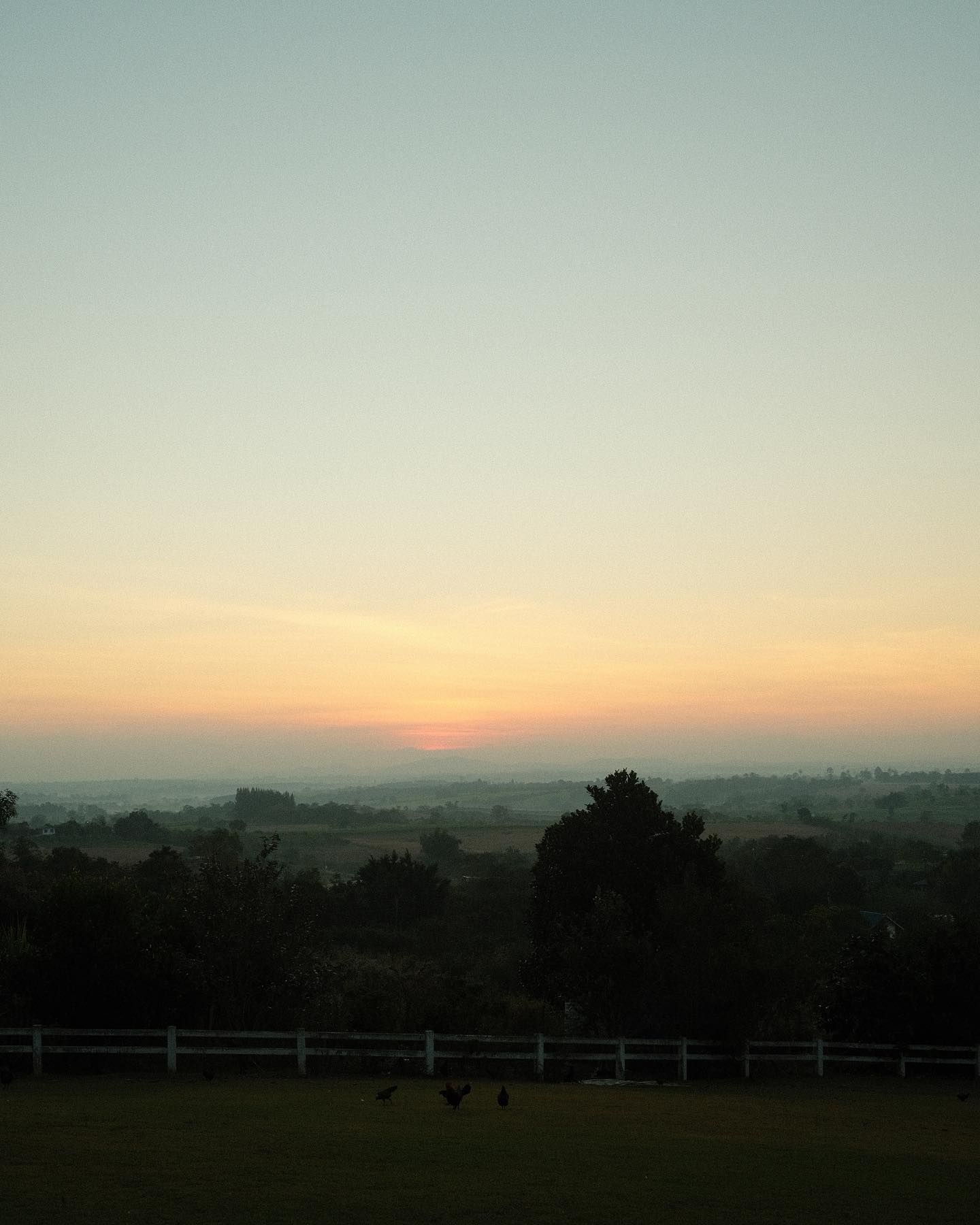 จุง - อาเชน ไอย์ดึน