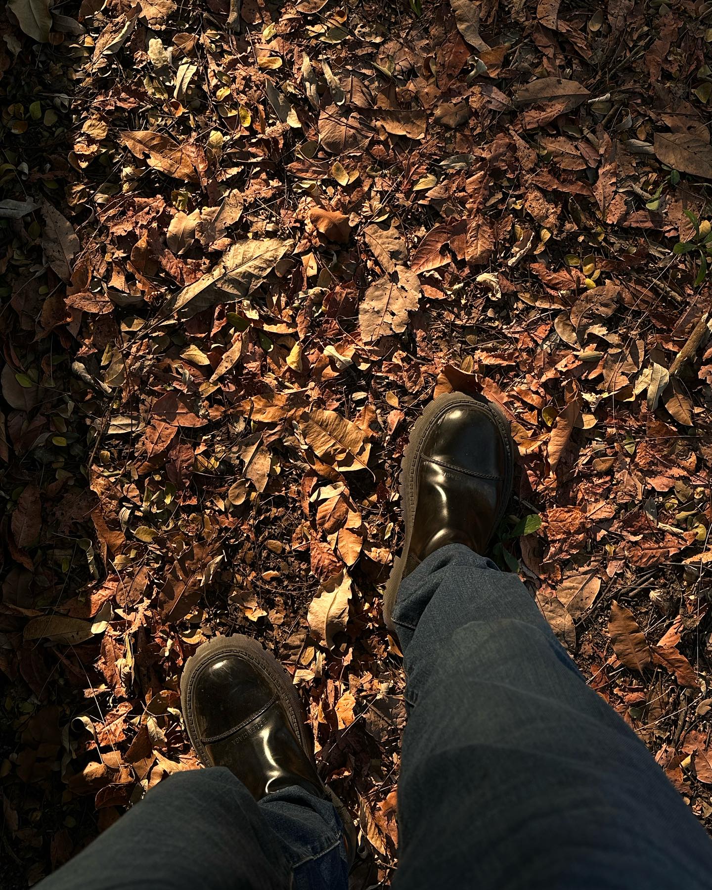 จุง - อาเชน ไอย์ดึน