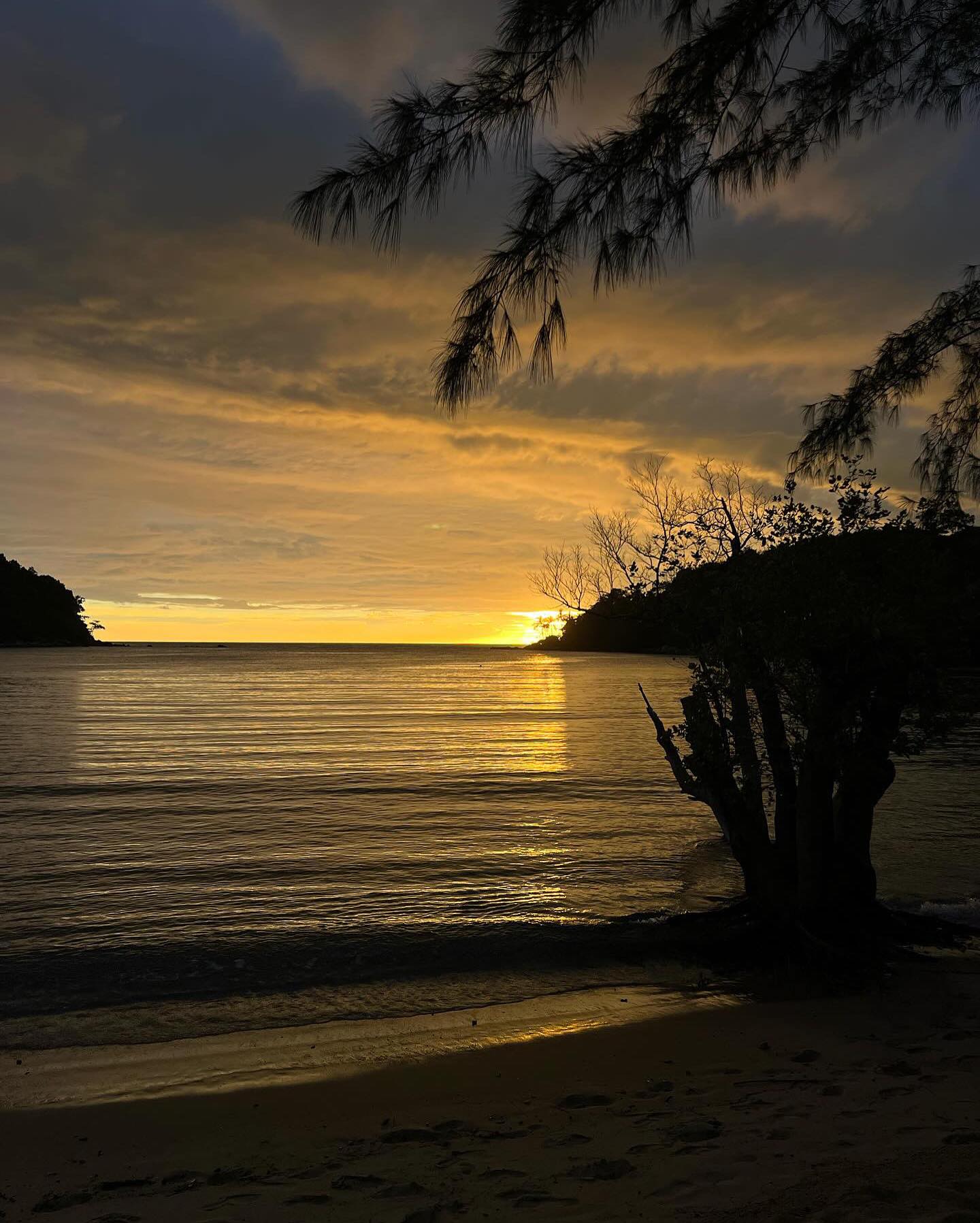 จุง - อาเชน ไอย์ดึน