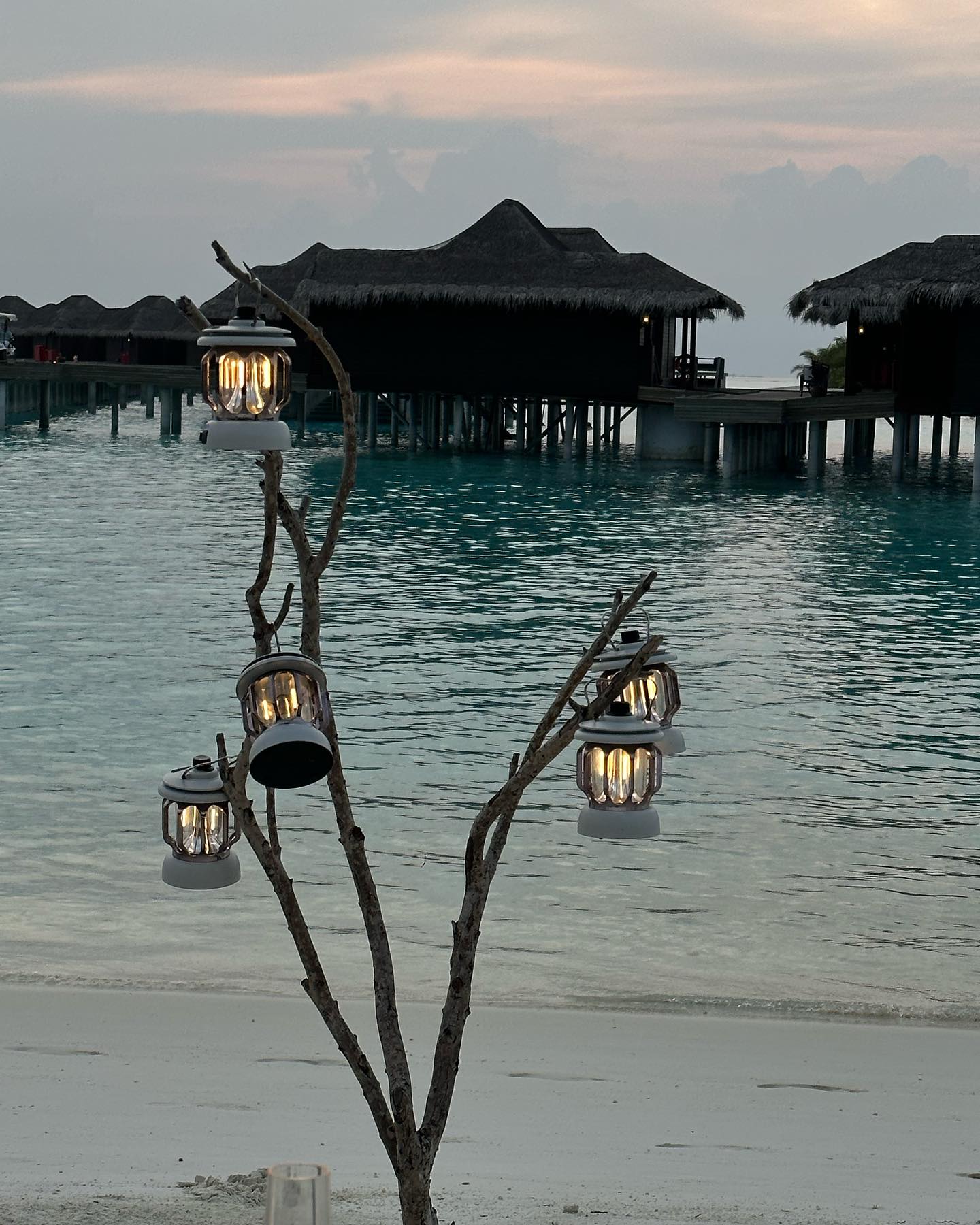 จุง - อาเชน ไอย์ดึน