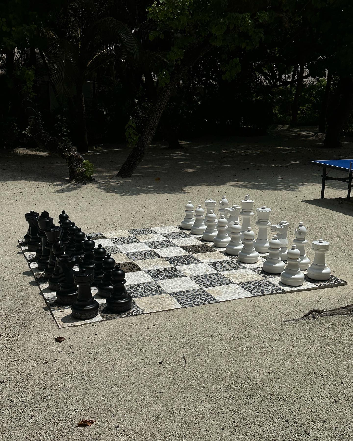 จุง - อาเชน ไอย์ดึน