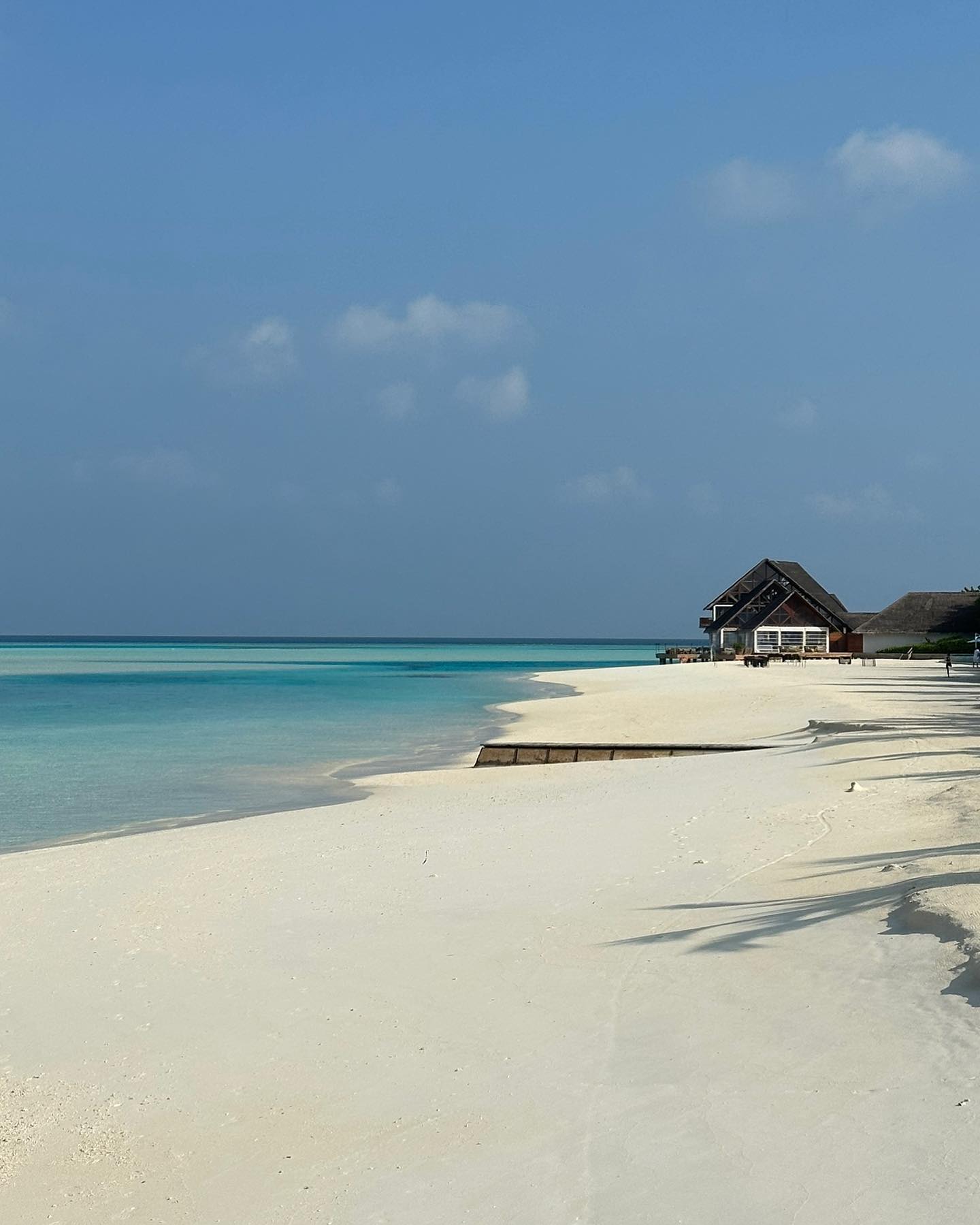 จุง - อาเชน ไอย์ดึน