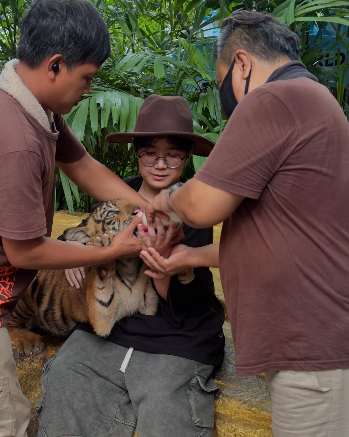 จุง - อาเชน ไอย์ดึน