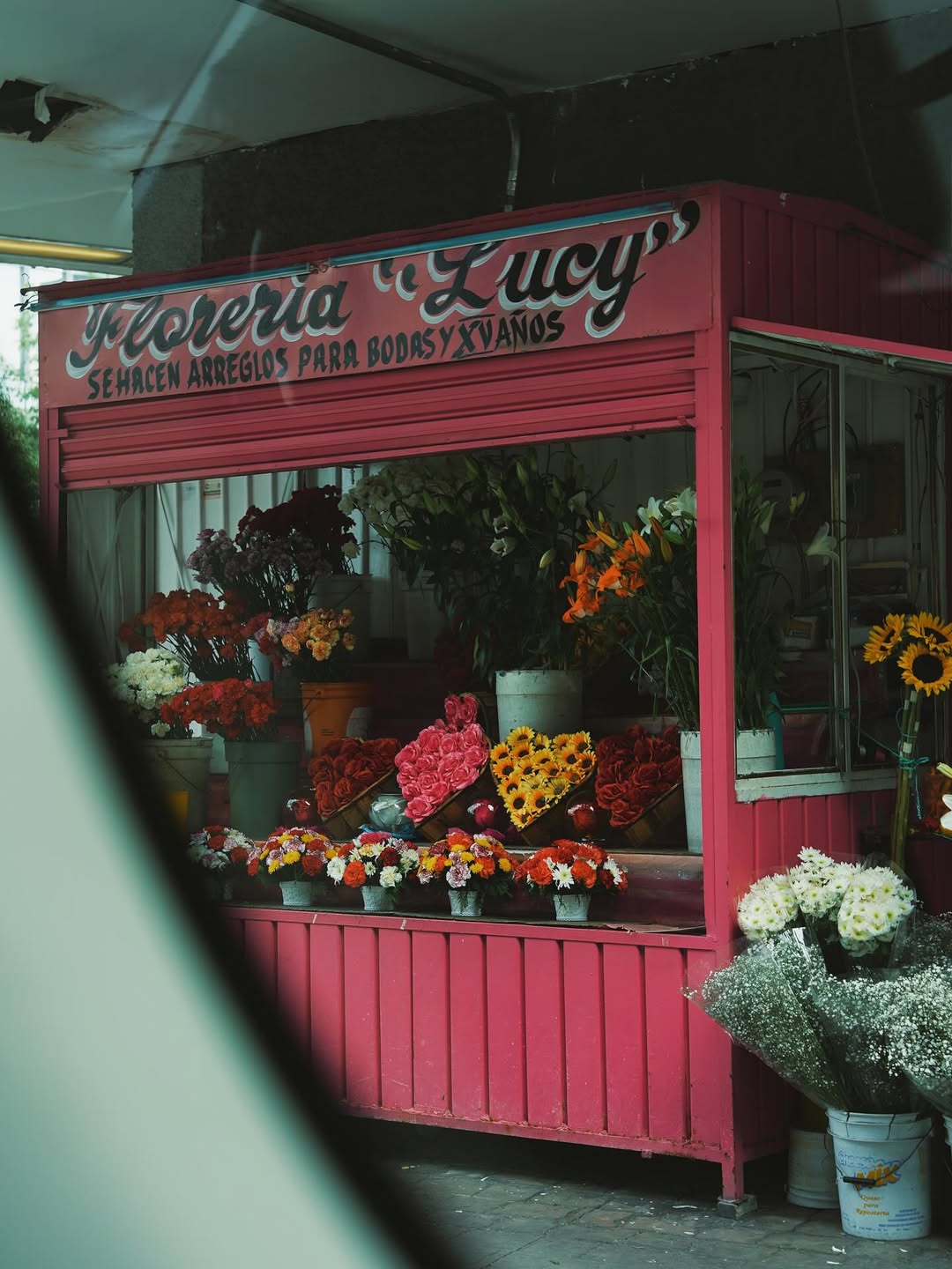 จุง - อาเชน ไอย์ดึน