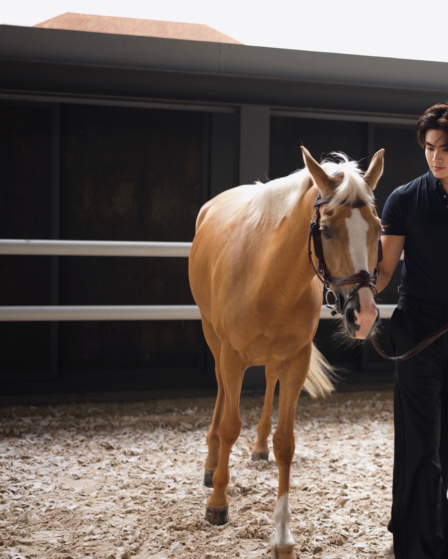 จุง - อาเชน ไอย์ดึน