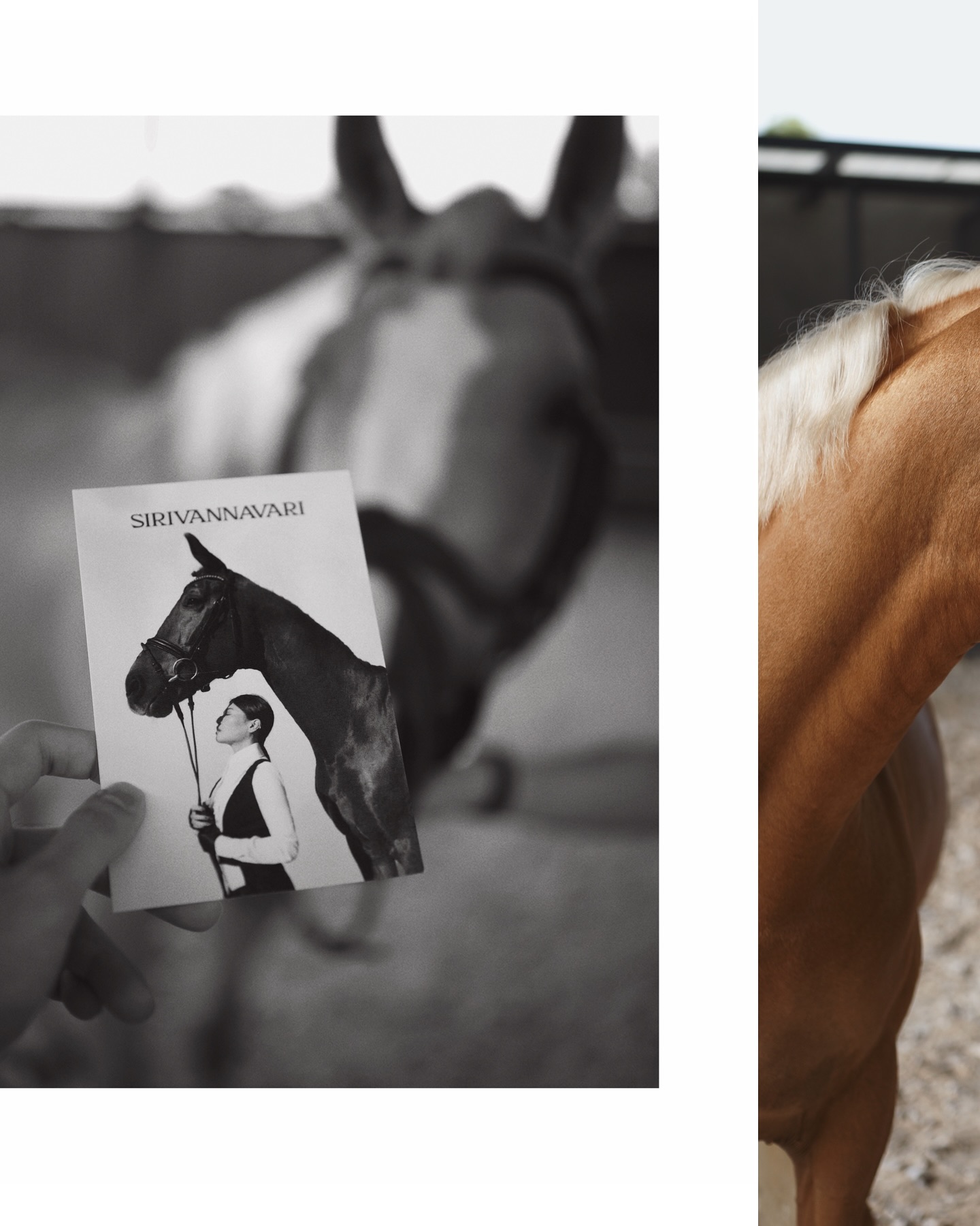 จุง - อาเชน ไอย์ดึน