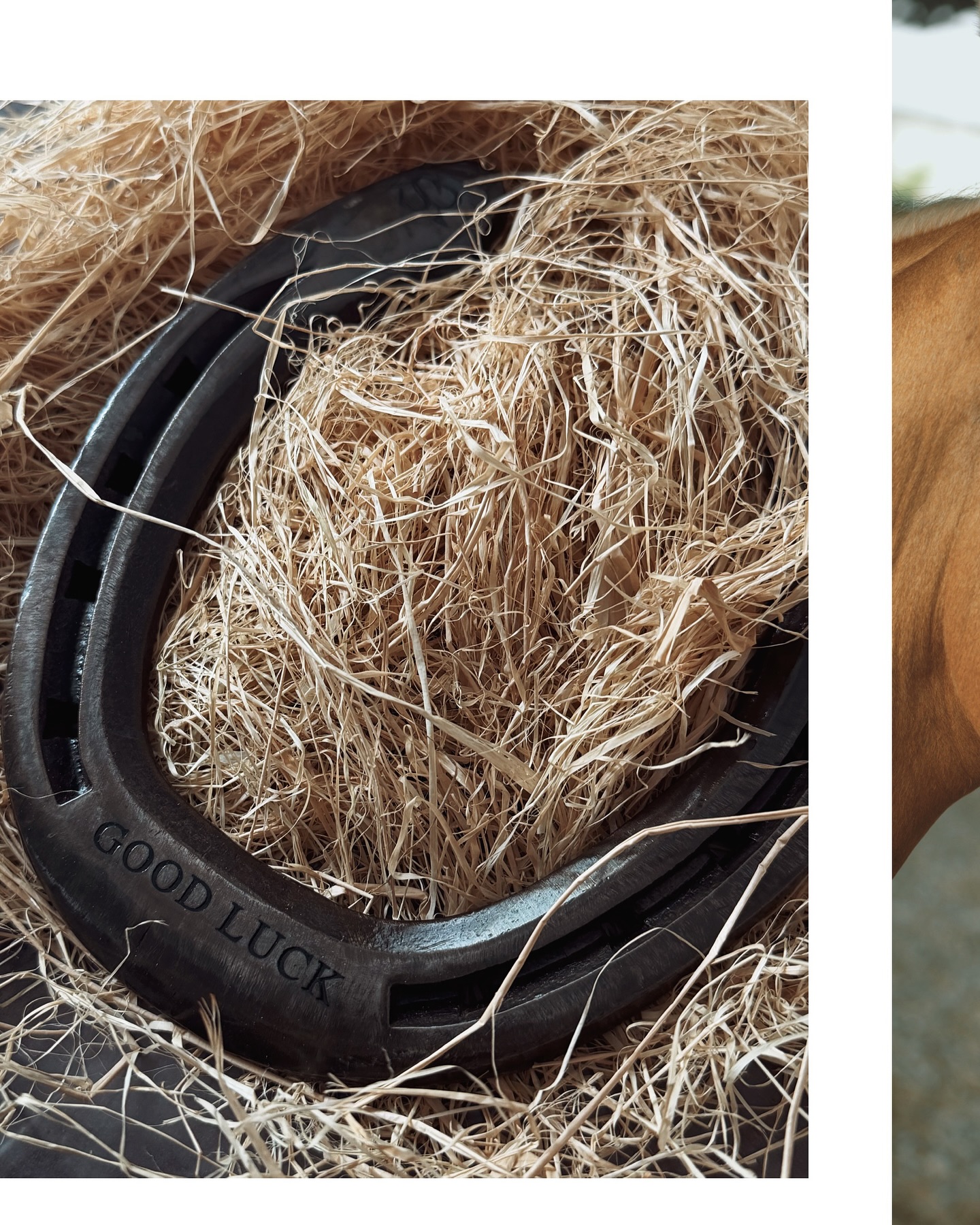 จุง - อาเชน ไอย์ดึน